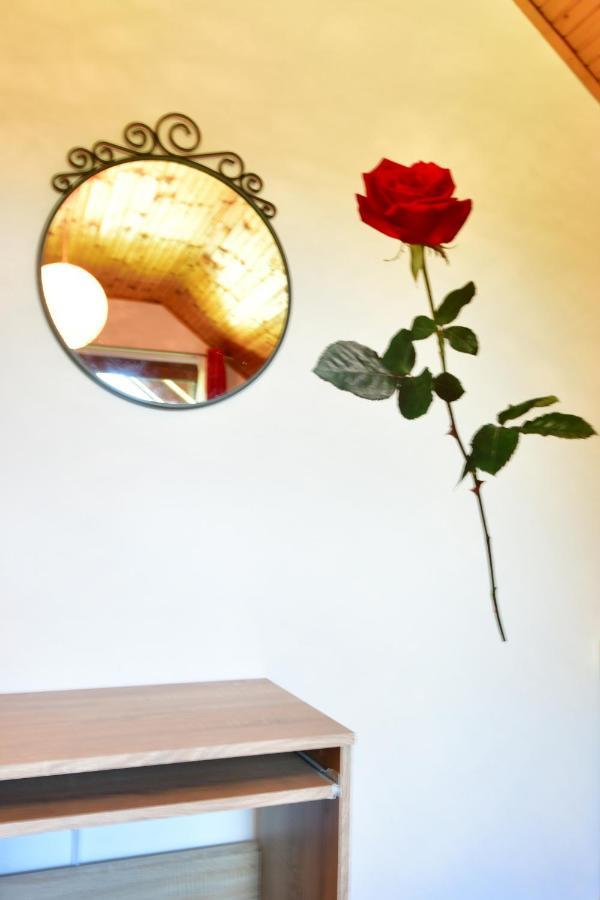 Apartman Jelena ราโควิซา ภายนอก รูปภาพ