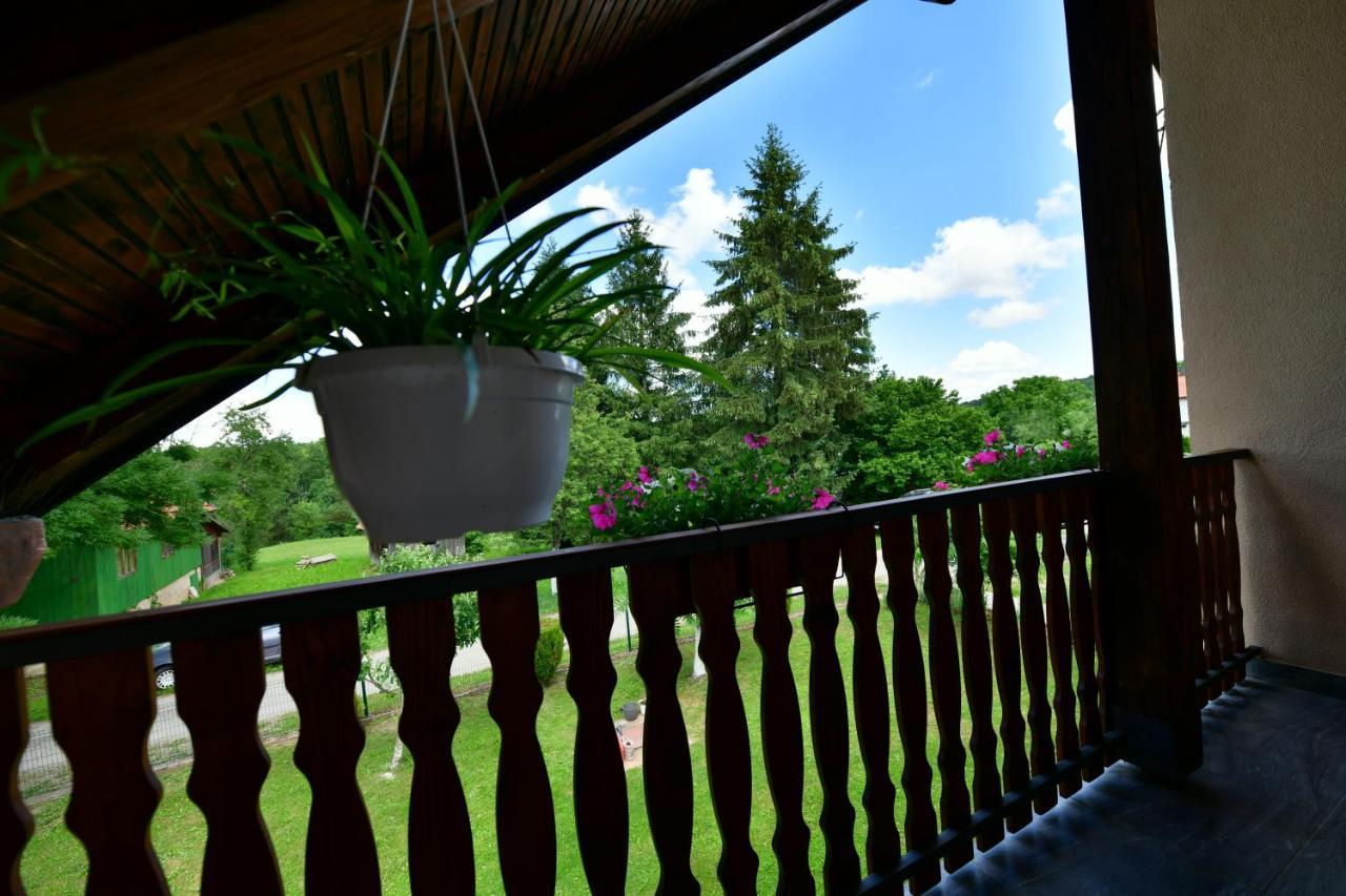 Apartman Jelena ราโควิซา ภายนอก รูปภาพ