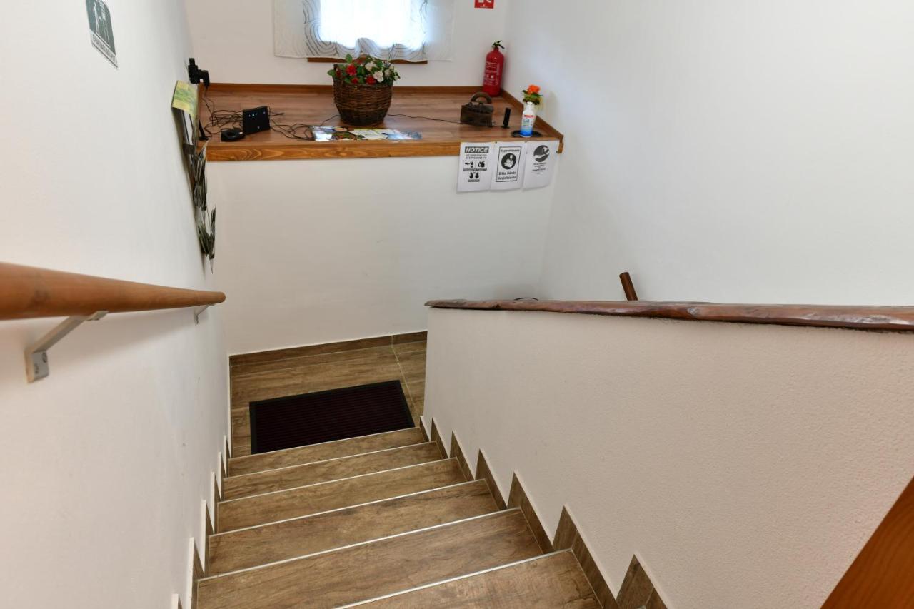 Apartman Jelena ราโควิซา ภายนอก รูปภาพ